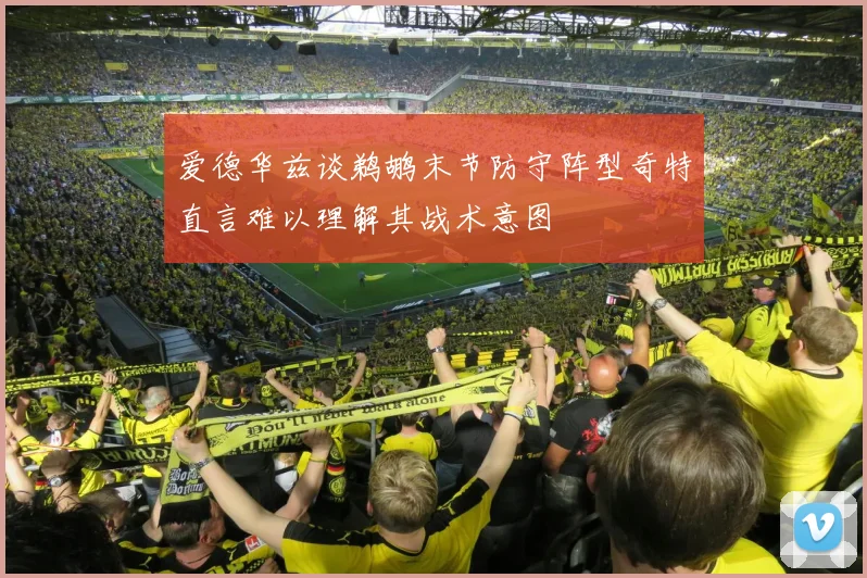 爱德华兹谈鹈鹕末节防守阵型奇特直言难以理解其战术意图
