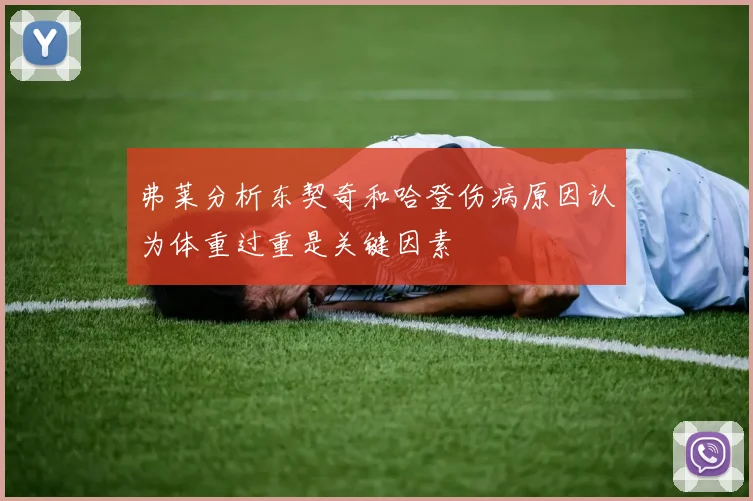 弗莱分析东契奇和哈登伤病原因认为体重过重是关键因素